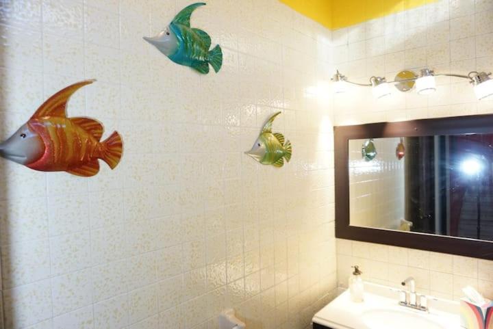 Casa Sixto Osuna Boutique Daire Mazatlan Oda fotoğraf